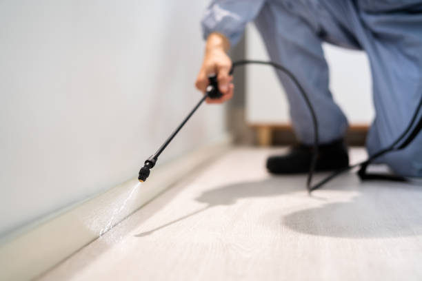 Licensed Pest Control service in Saranac Lake, NY - Show Me Pest Control
